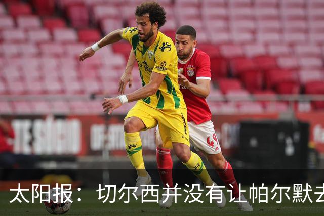 太阳报：切尔西并没有让帕尔默去游说罗杰斯，但两人感情很好