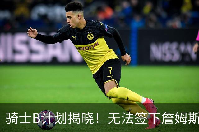 骑士B计划揭晓！无法签下詹姆斯将转向海佐尼亚：上赛季西甲联赛MVP